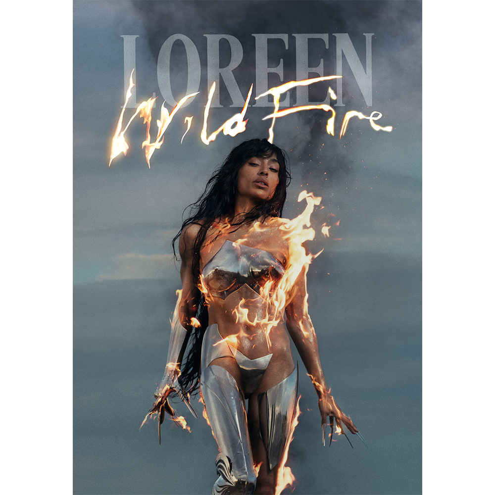 WILDFIRE DAY EDITION POSTER